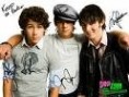 /album/galeria-de-fotos-pagina-inicial/jonas-8-jpg1/